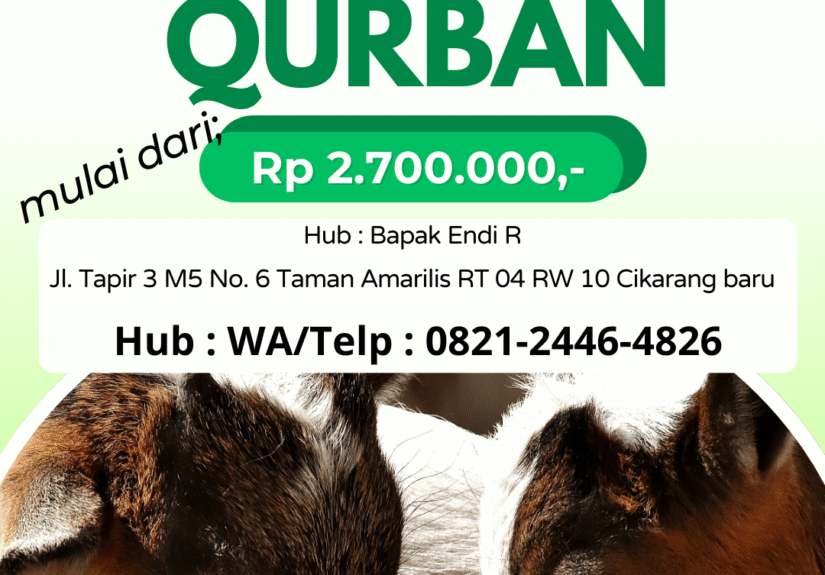Hijau & Putih Minimalis Promosi Jual Kambing Qurban Konten Instagram_20250509_111744_0000